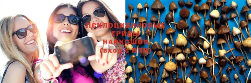 Псилоцибиновые грибы Magic Shrooms  как найти закладки  Балабаново 